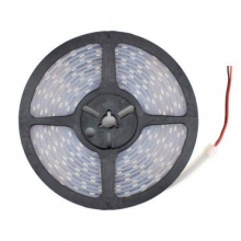 Tira LED 12V DC SMD5050 120LED/m 5m IP67